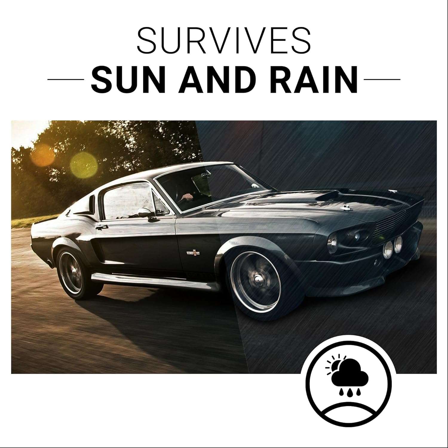 RestoreX Restaurator Auto